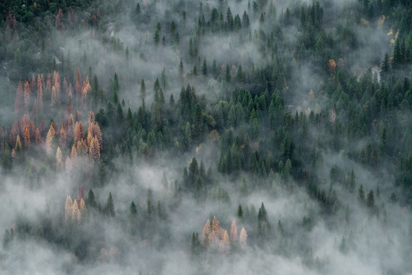 Mist across the wooded hills the forge is named for
