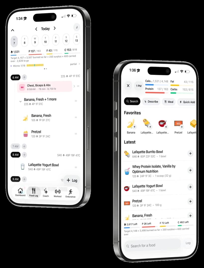 The base. food log, showing the day's macros by hour and the food search